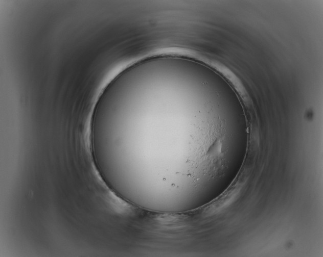 X0000101401199200807141149