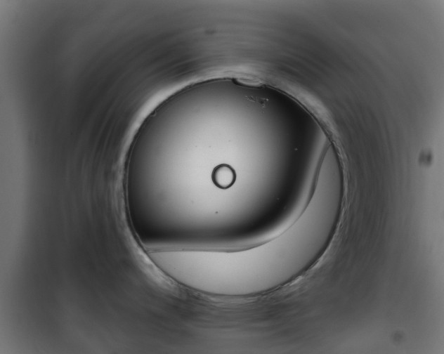 X0000101401200200807141149