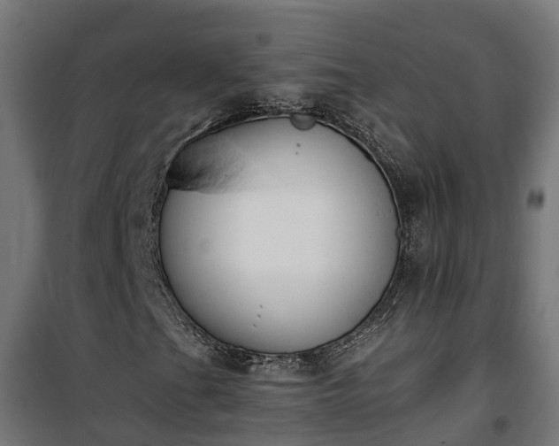 X0000101401201200807141148