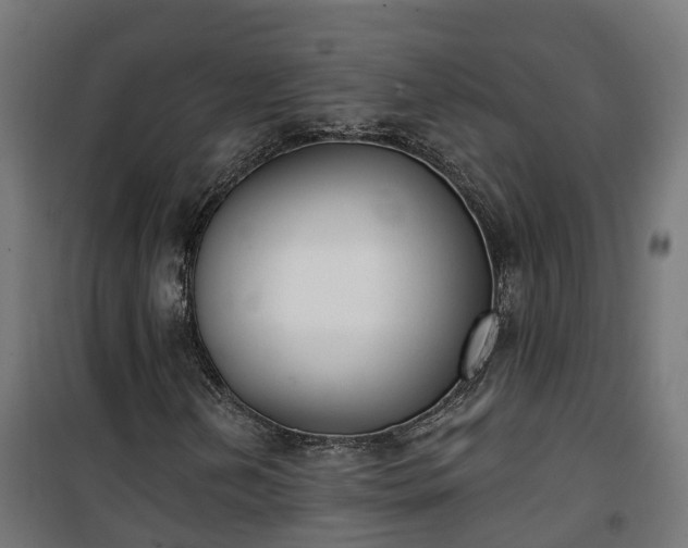 X0000101401202200807141148