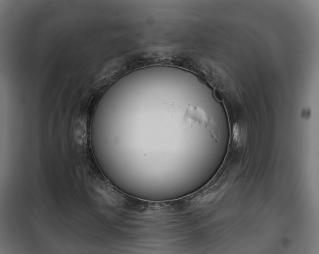 X0000101401203200807141148