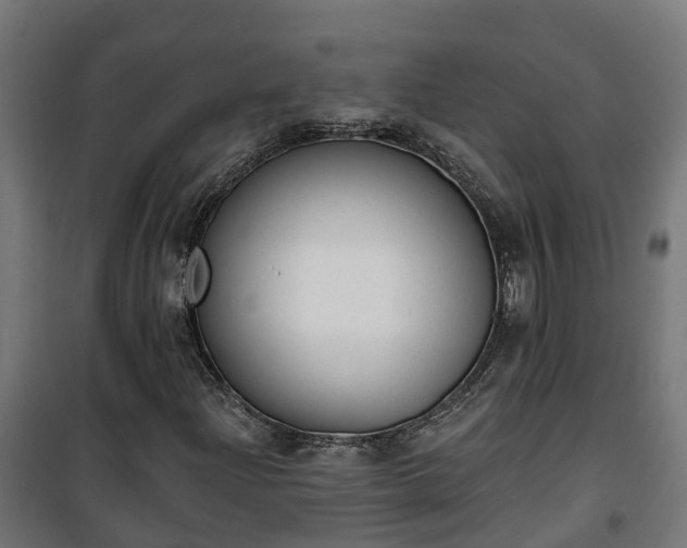 X0000101401204200807141148