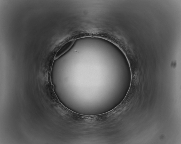 X0000101401205200807141148