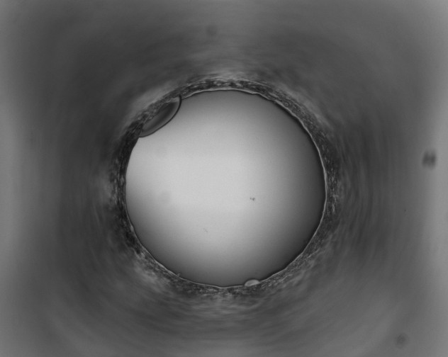 X0000101401207200807141148