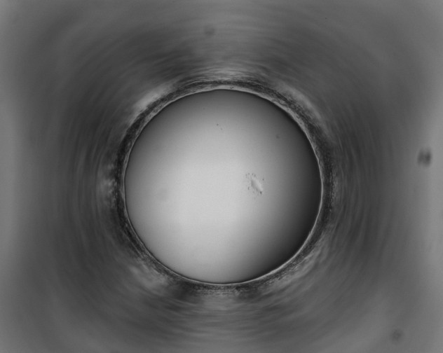 X0000101401210200807141148