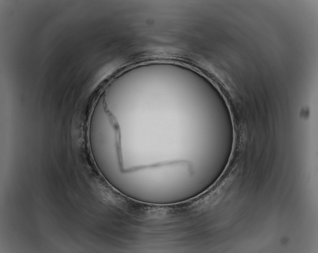 X0000101401211200807141148