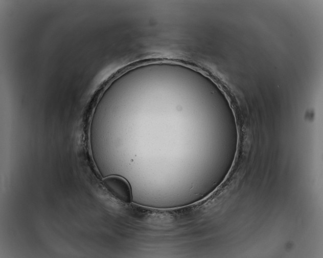 X0000101401215200807141149