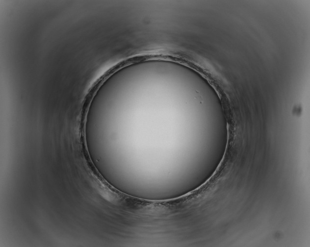 X0000101401216200807141149