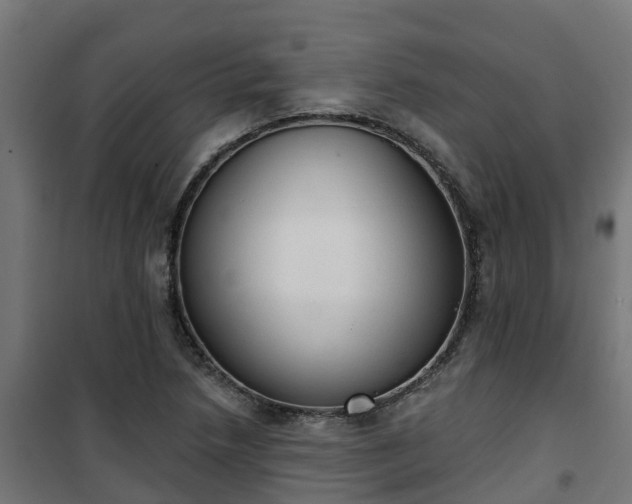 X0000101401218200807141149