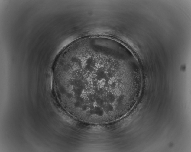 X0000101401219200807141149