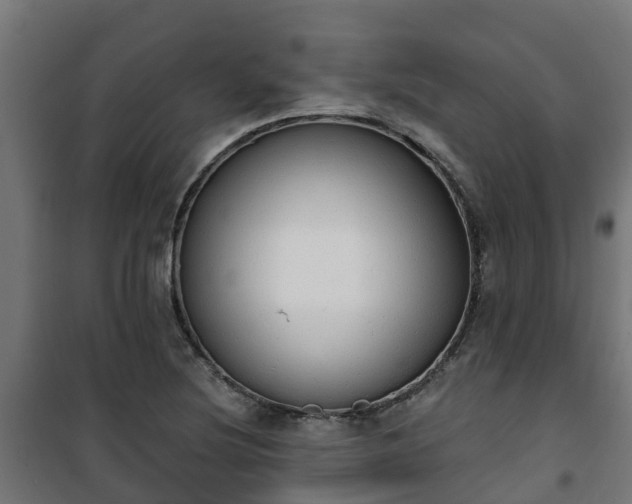 X0000101401220200807141149