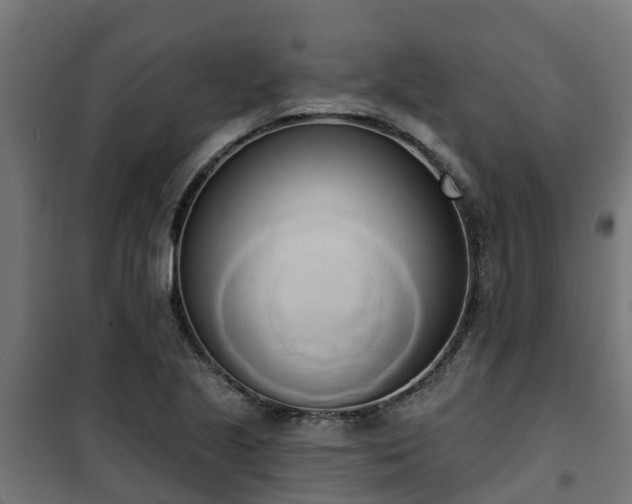 X0000101401221200807141149