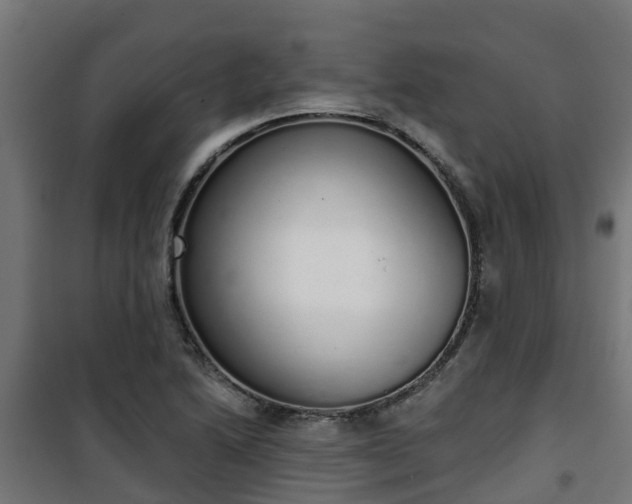 X0000101401222200807141149