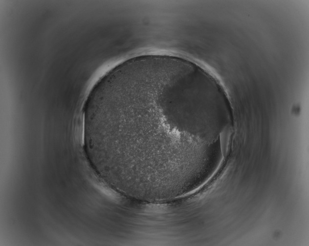 X0000101401223200807141149