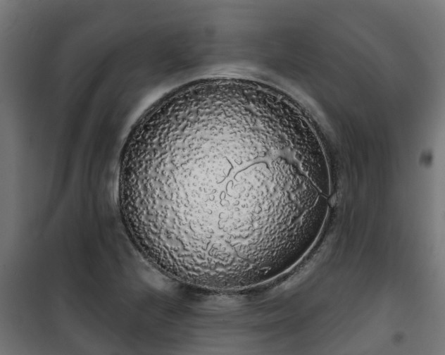 X0000101401224200807141149