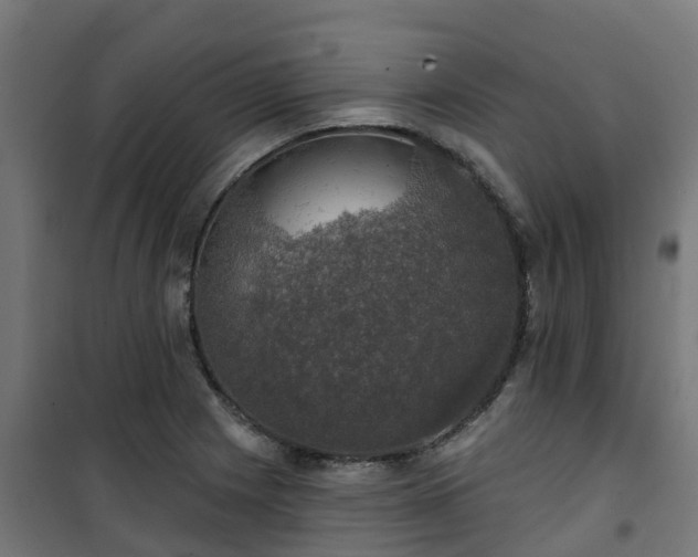 X0000101401225200807141149