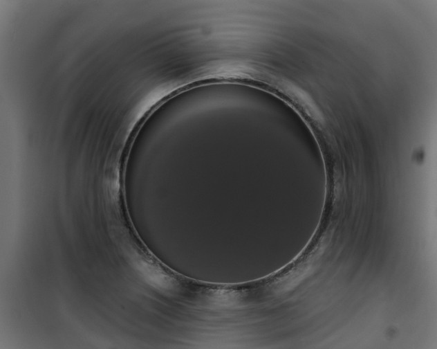 X0000101401226200807141149