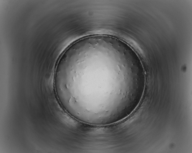 X0000101401228200807141149