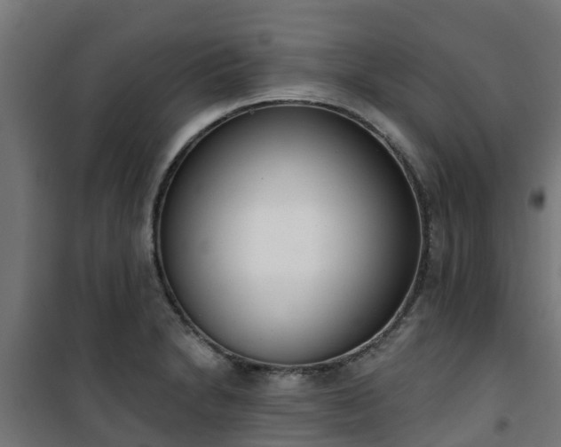 X0000101401230200807141149