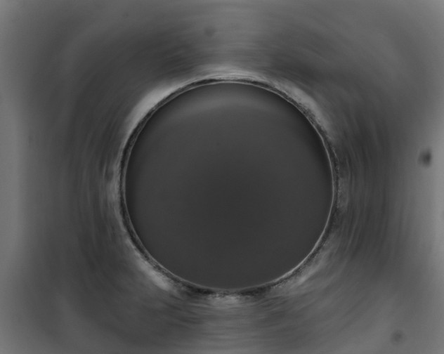 X0000101401231200807141149