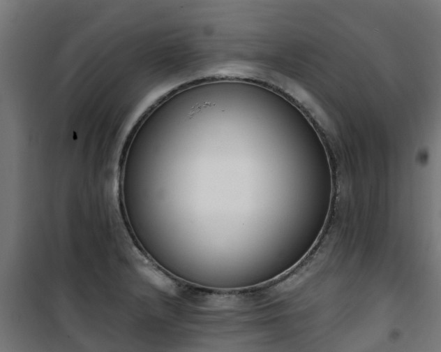 X0000101401232200807141149