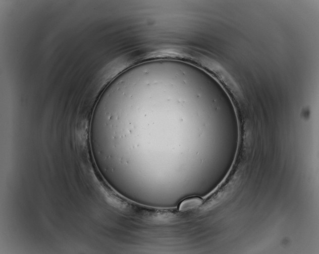 X0000101401233200807141149