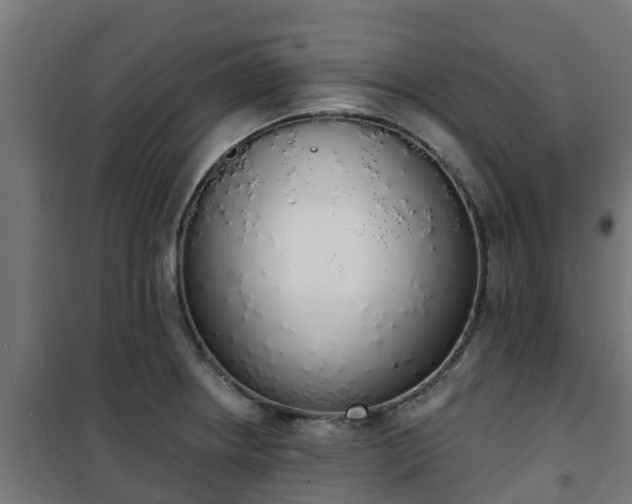 X0000101401234200807141149