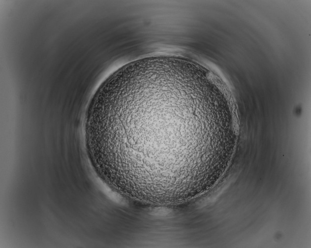 X0000101401235200807141149