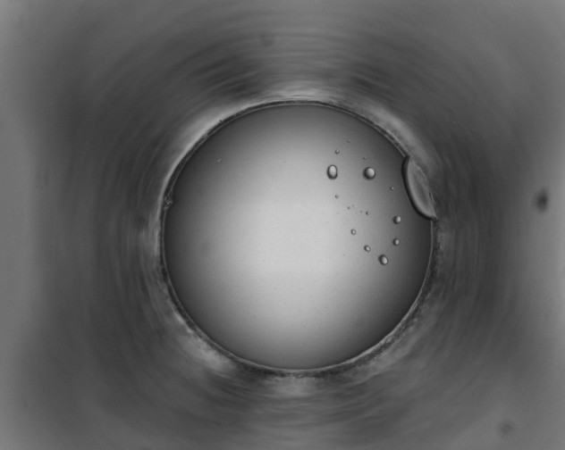 X0000101401236200807141149