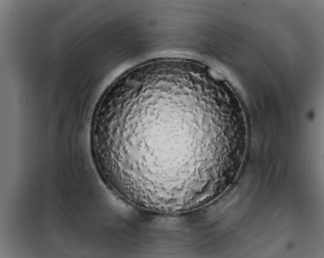 X0000101401237200807141149