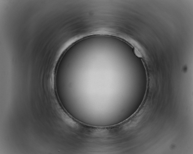 X0000101401238200807141149