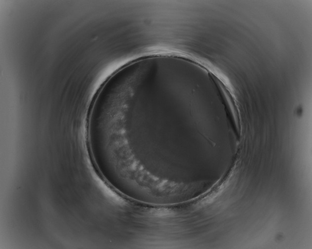 X0000101401239200807141149