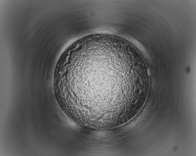 X0000101401240200807141149