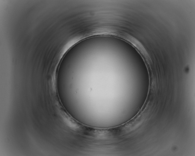 X0000101401242200807141149