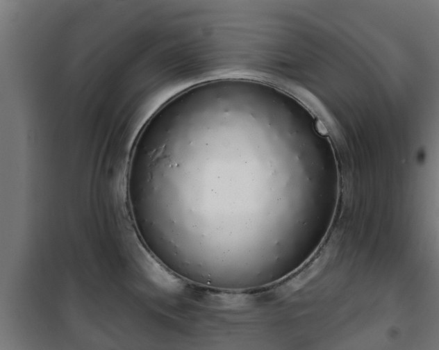 X0000101401244200807141149