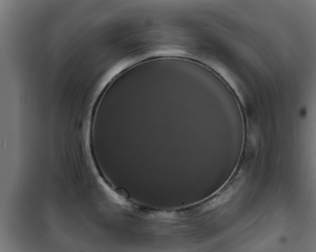 X0000101401245200807141149