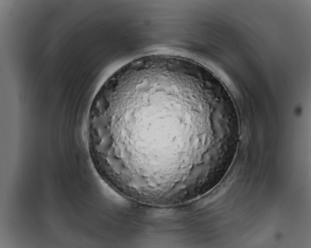 X0000101401247200807141149