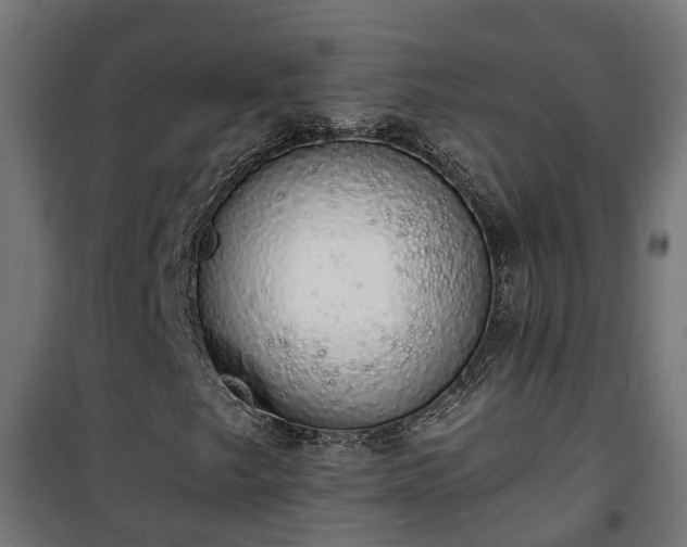 X0000101401249200807141148