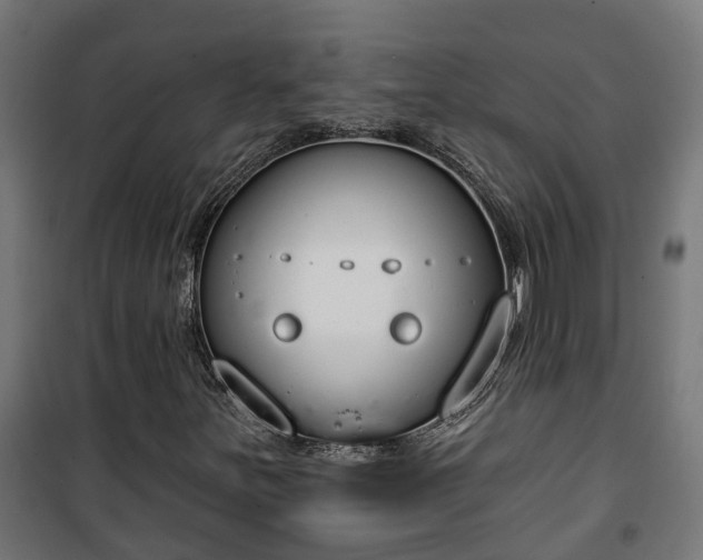 X0000101401251200807141148