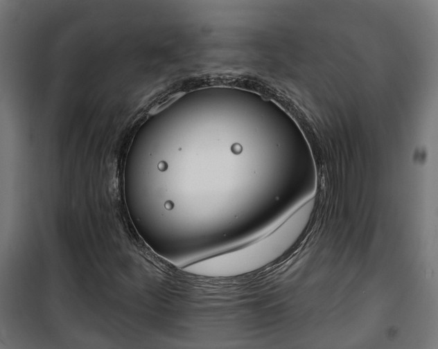 X0000101401252200807141148