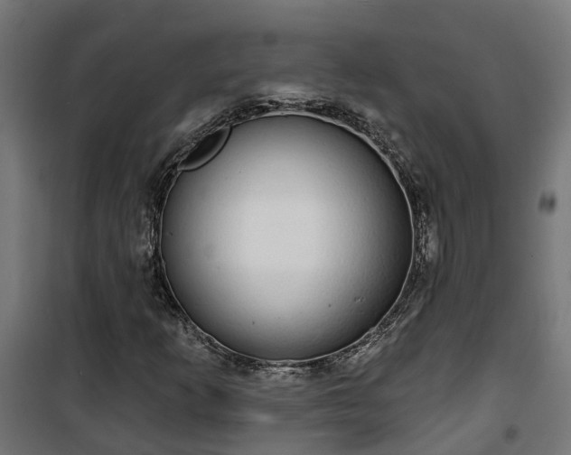 X0000101401253200807141148