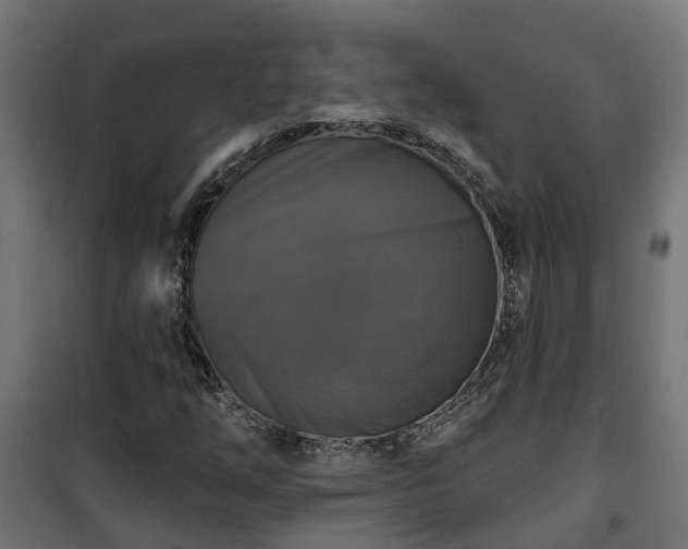 X0000101401254200807141148