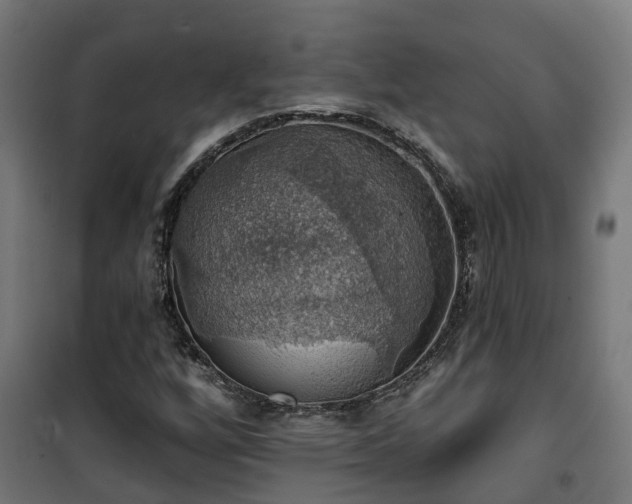 X0000101401256200807141148