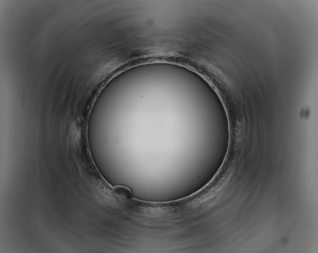 X0000101401257200807141148