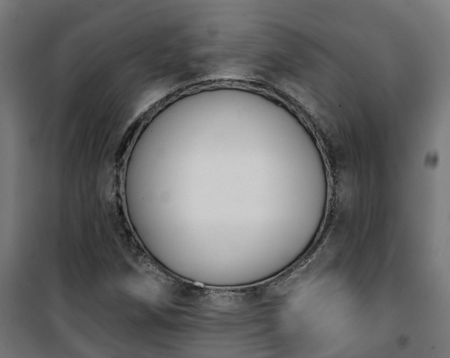 X0000101401258200807141148