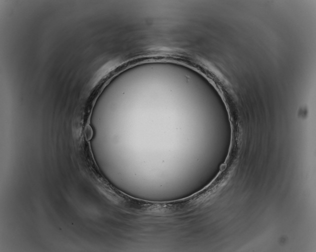 X0000101401259200807141148