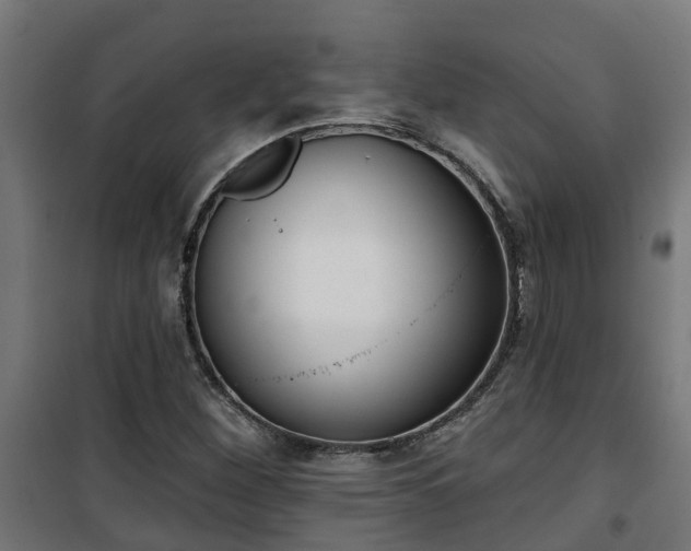 X0000101401260200807141148