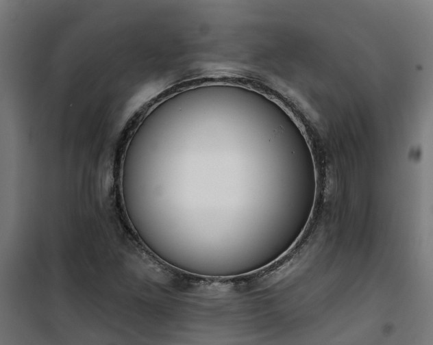 X0000101401261200807141148