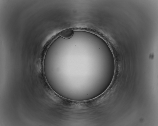 X0000101401262200807141148