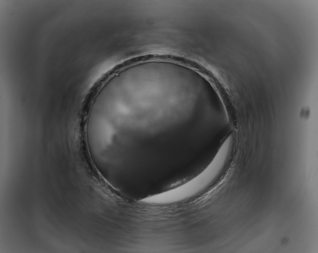 X0000101401263200807141148